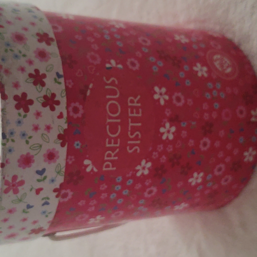3/$15 Empty gift box for a sister